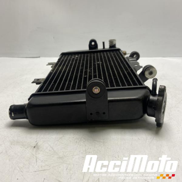 Pièce Moto Radiateur de refroidissement YAMAHA TDM 850