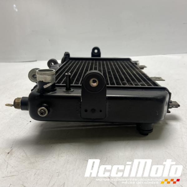 Pièce Moto Radiateur de refroidissement YAMAHA TDM 850