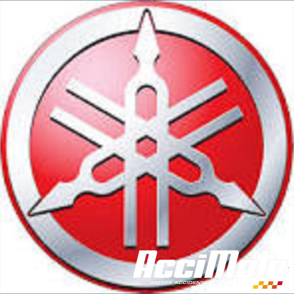 Pièce Moto Fourche complète YAMAHA TDR 125