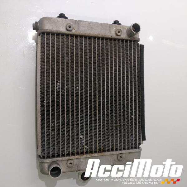 Part Motor bike Radiateur de refroidissement CAN-AM ATV SPYDER CANAM CAN AM