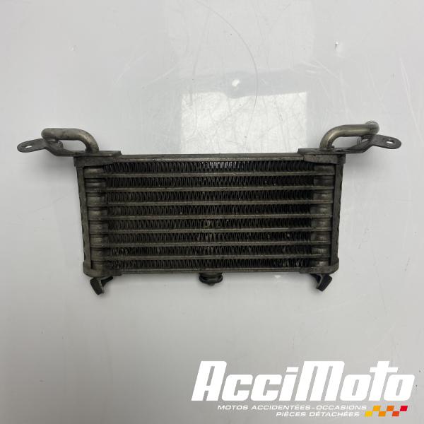 Part Motor bike Radiateur d'huile BMW S1000 RR