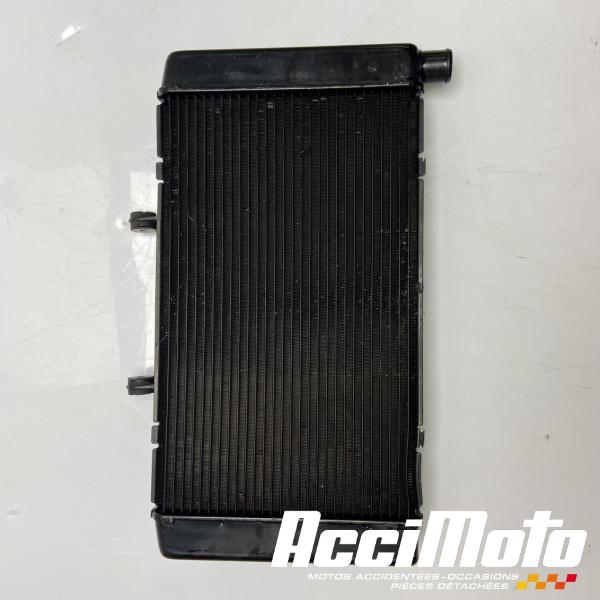 Pièce Moto Radiateur de refroidissement HONDA HORNET CB600F