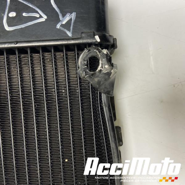 Pièce Moto Radiateur de refroidissement HONDA HORNET CB600F