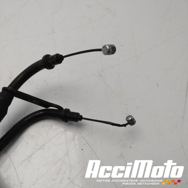 Pièce Moto Cable d'accélérateur YAMAHA TMAX XP530