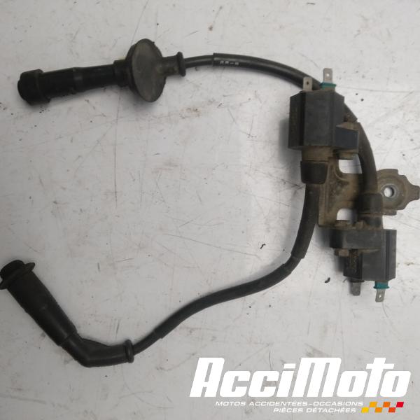 Part Motor bike Bobine d'allumage cylindre arrière HONDA TRANSALP XL600V