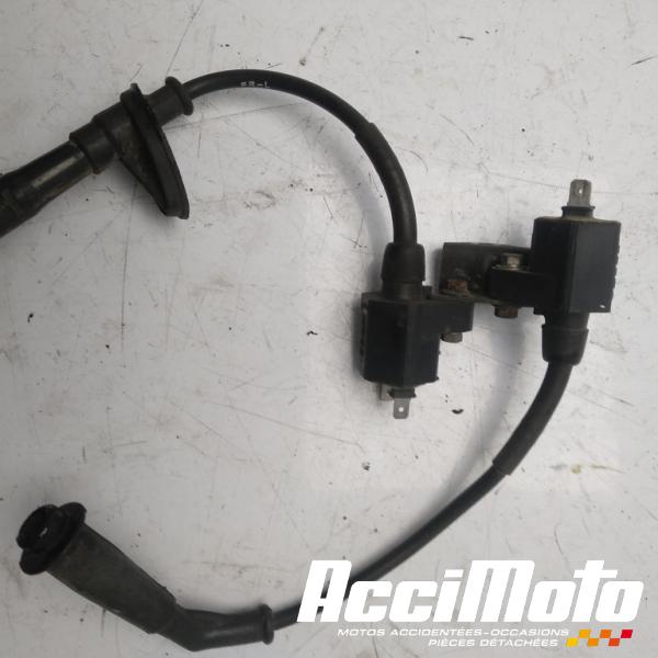 Part Motor bike Bobine d'allumage cylindre avant HONDA TRANSALP XL600V