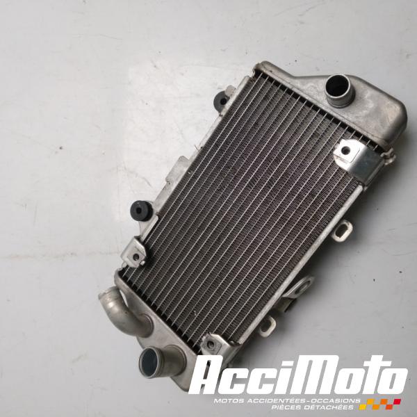 Part Motor bike Radiateur de refroidissement HONDA AFRICA TWIN 1100 ADVENTURE SPORT 