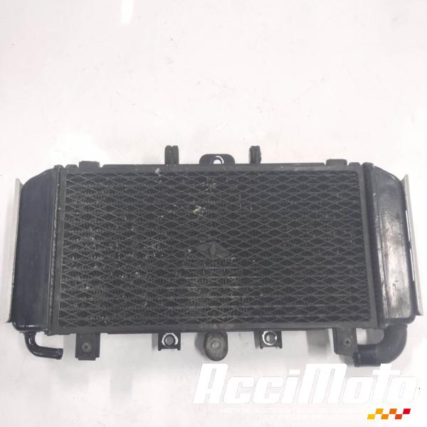 Pièce Moto Radiateur de refroidissement YAMAHA FAZER FZS600