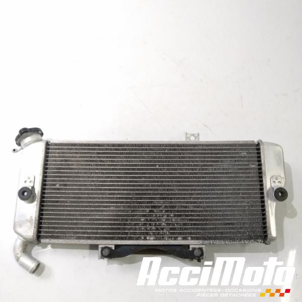 Part Motor bike Radiateur de refroidissement KAWASAKI ER6 N