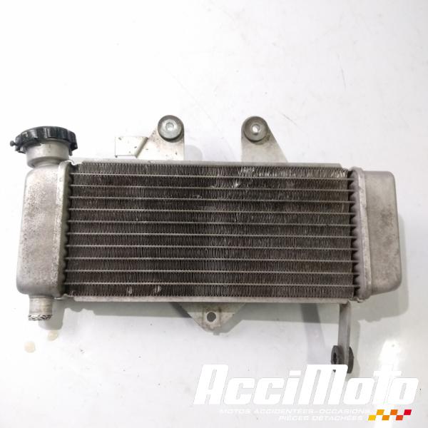 Part Motor bike Radiateur de refroidissement HONDA VARADERO XL125V