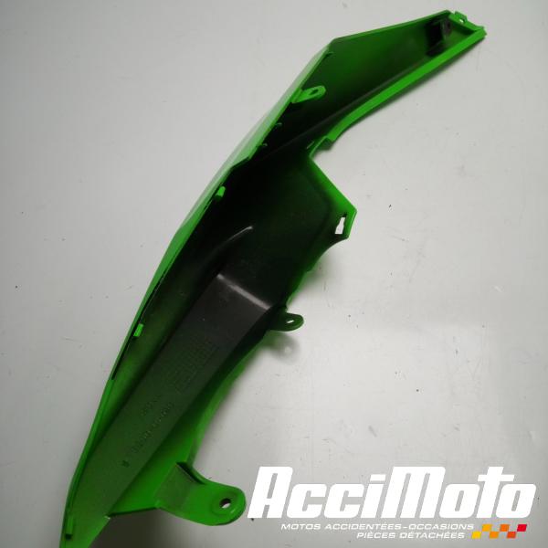 Part Motor bike Coque arrière (droite) KAWASAKI ZX6RR