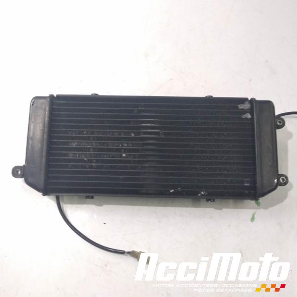 Part Motor bike Radiateur de refroidissement SUZUKI MARAUDER VZ800