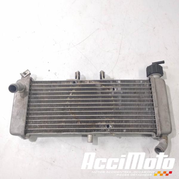 Part Motor bike Radiateur de refroidissement APRILIA RS 125