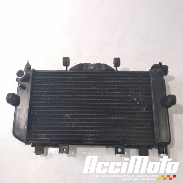 Pièce Moto Radiateur de refroidissement YAMAHA TDM 850