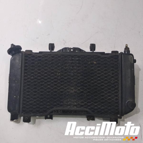 Pièce Moto Radiateur de refroidissement YAMAHA TDM 850