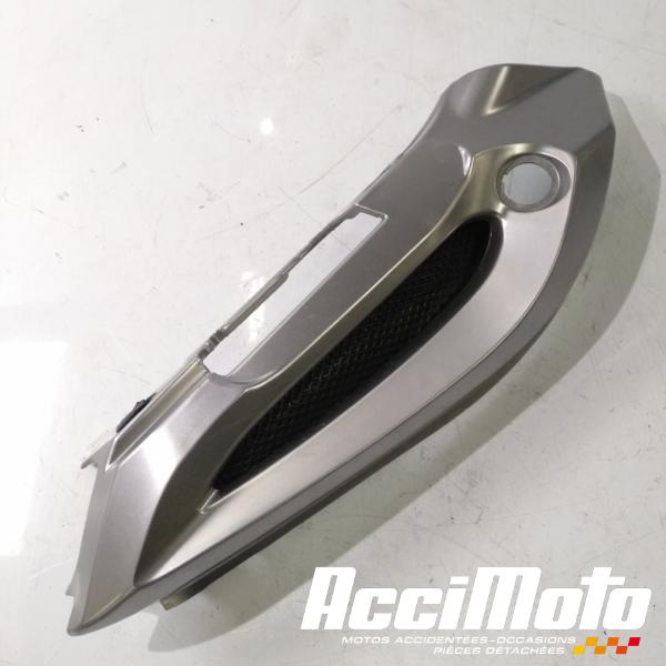 Part Motor bike Coque arrière (gauche) ORCAL SK 125