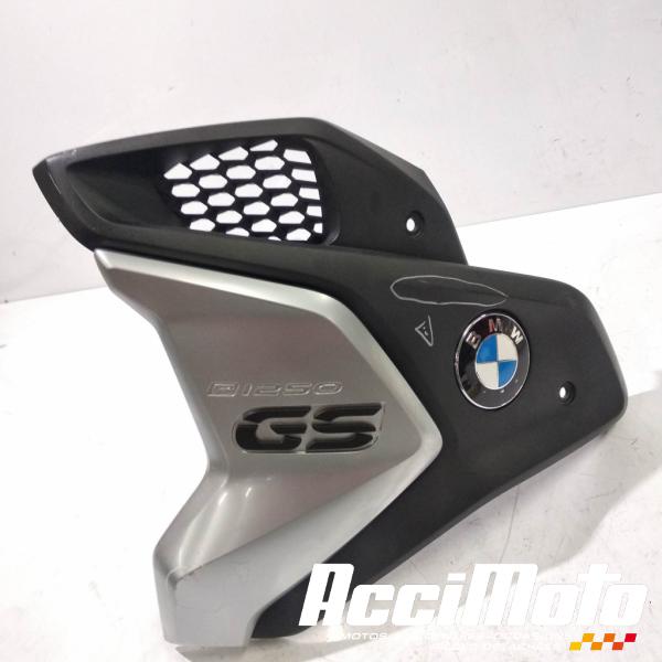 Pièce Moto Flanc de carénage avant (gauche) BMW R1250 GS