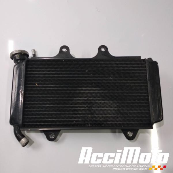 Pièce Moto Radiateur de refroidissement KTM 390 RC