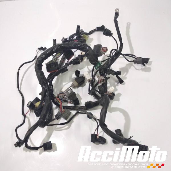 Pièce Moto Faisceau électrique (principal) KAWASAKI ER6 N