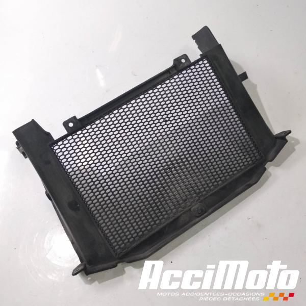 Part Motor bike Grille de radiateur BENELLI TRK 502-48