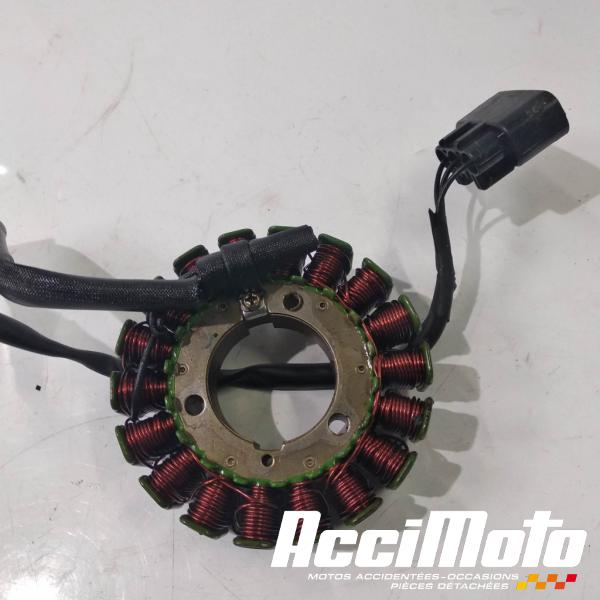 Pièce Moto Stator d'alternateur BENELLI TRK 502-48