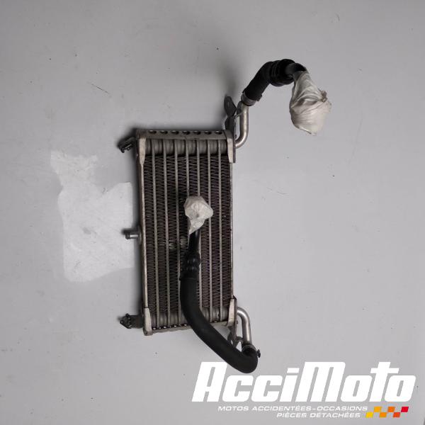 Part Motor bike Radiateur d'huile BMW S1000 R