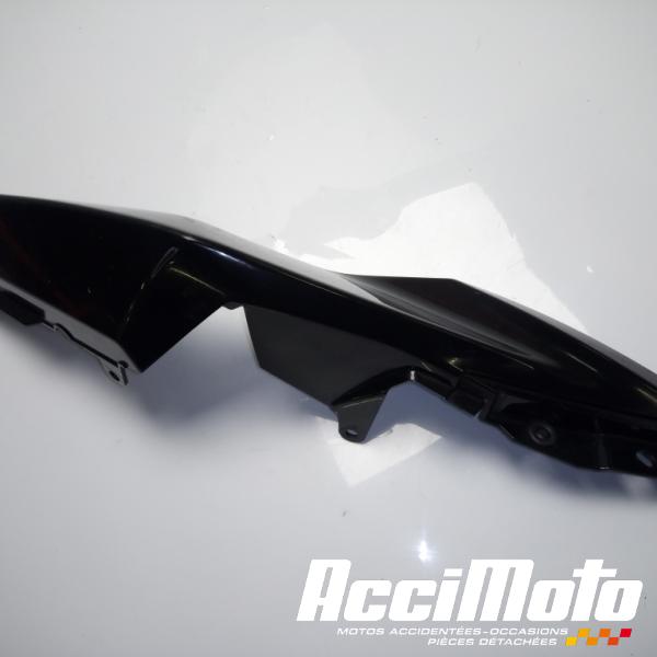 Part Motor bike Coque arrière (gauche) KAWASAKI NINJA EX300