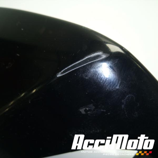 Part Motor bike Coque arrière (gauche) KAWASAKI NINJA EX300