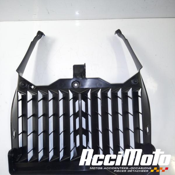 Part Motor bike Grille de radiateur YAMAHA XTZ TENERE 700