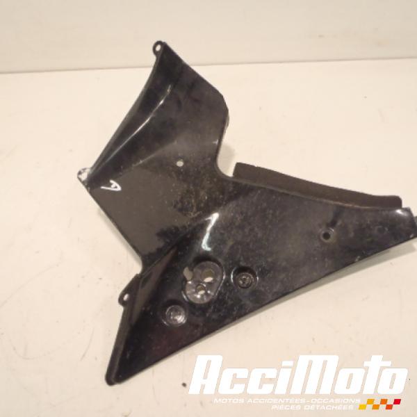 Part Motor bike Intérieur de flanc de carénage (droit) HONDA CBR929