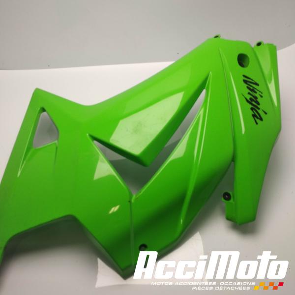 Pièce Moto Flanc de carénage avant (gauche) KAWASAKI NINJA EX250R