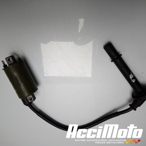 Part Motor bike Bobine d'allumage HONDA VFR800 FI (98-01)