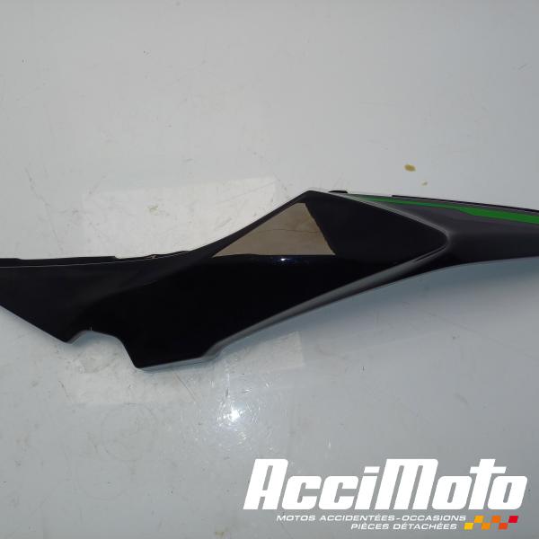 Pièce Moto Coque arrière (gauche) KAWASAKI Z 650