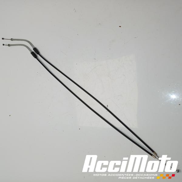 Part Motor bike Cable de valve d'échappement MV AGUSTA F3 RR 800