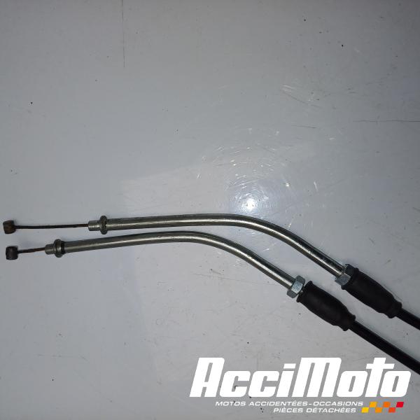 Part Motor bike Cable de valve d'échappement MV AGUSTA F3 RR 800