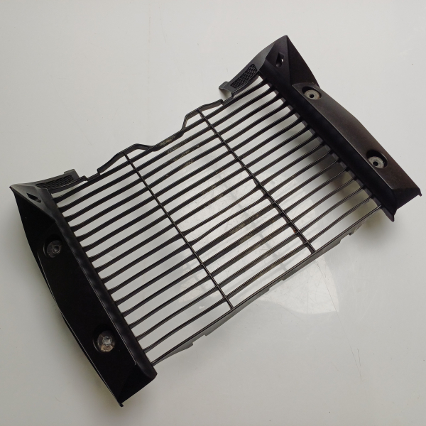 Part Motor bike Grille de radiateur HONDA CB1000R