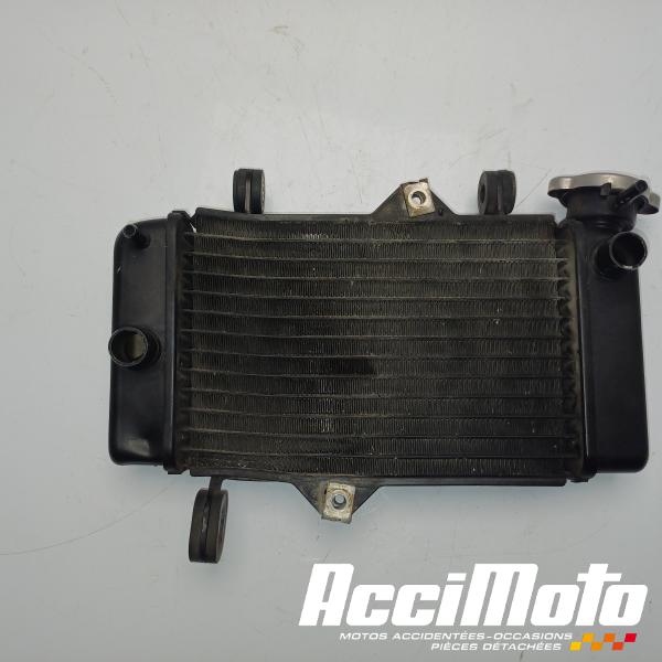 Pièce Moto Radiateur de refroidissement YAMAHA MT 125