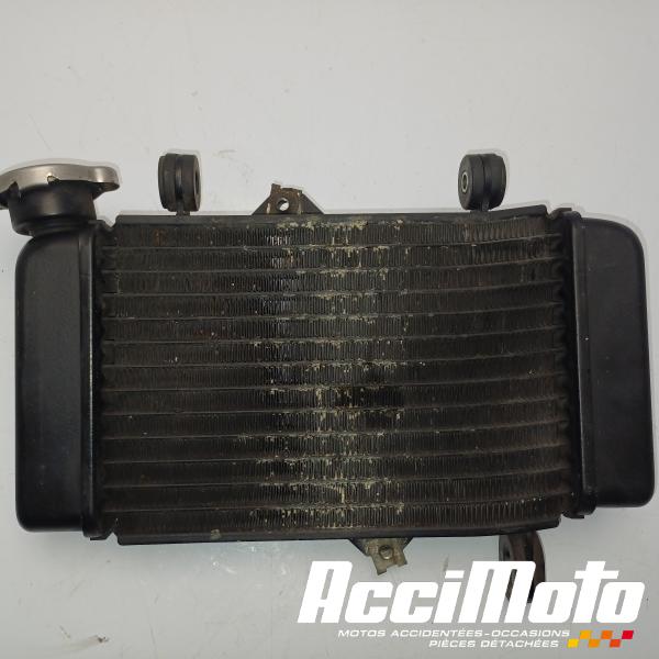 Pièce Moto Radiateur de refroidissement YAMAHA MT 125