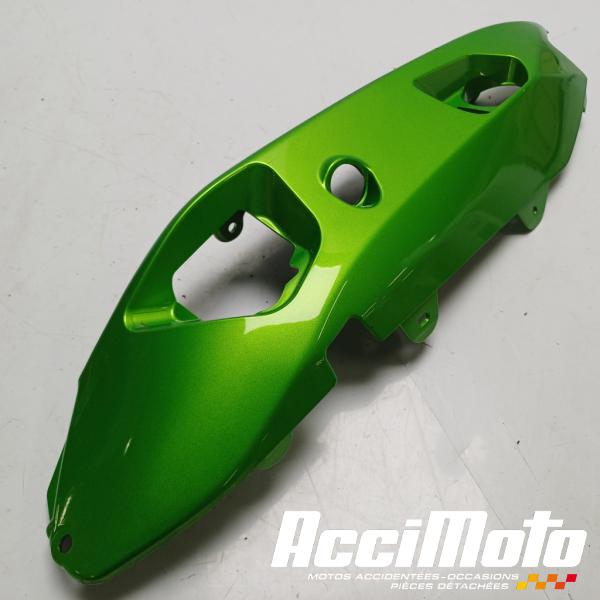 Pièce Moto Coque arrière (gauche) KAWASAKI ER6 F