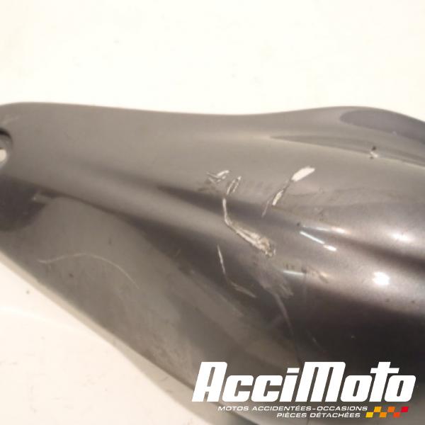 Pièce Moto Coque arrière (gauche) DUCATI SUPERSPORT 1000 SS