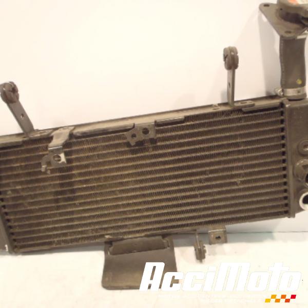 Pièce Moto Radiateur de refroidissement SUZUKI SV 650S